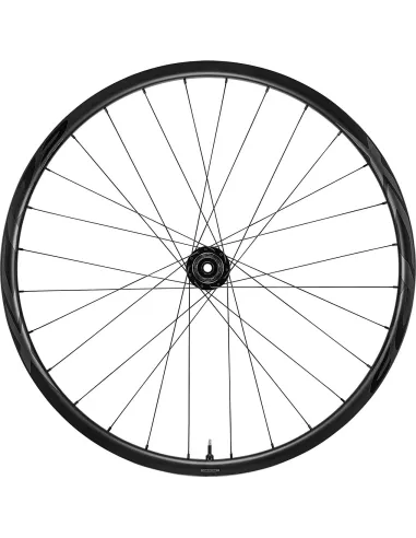 Ruedas Giant XCR 2 29 carbono