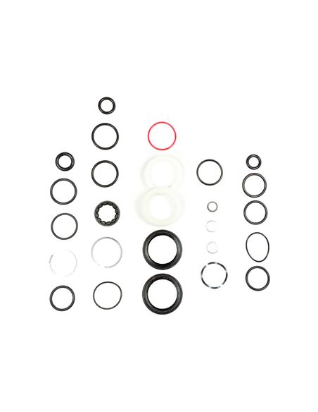 RS REC KIT MANTENIMIENTO 200H JUDY SILVE