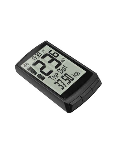 PANTALLA GIANT RIDEDASH PLUS 2