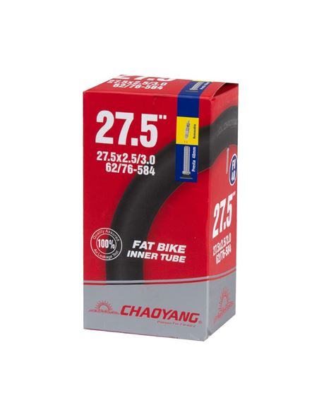 CAMARA 29X1.7-2.1 ANTIPINCHAZOS V/SCHR 4