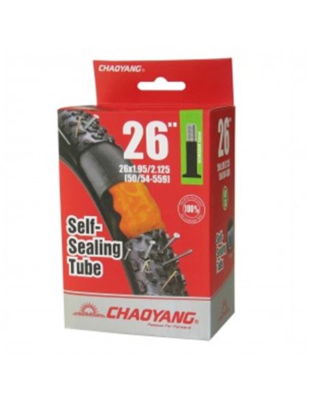 CAMARA 26X1.95/2.125 SELLANTE V/SCHR CHA