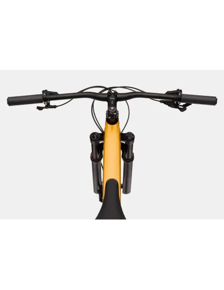 Cannondale Scalpel Carbon SE 2