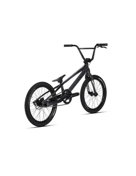 SUNN ROYAL FACTORY PRO XL 2025