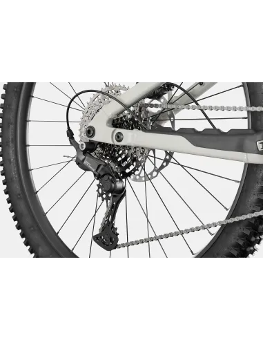 Cannondale Moterra 3