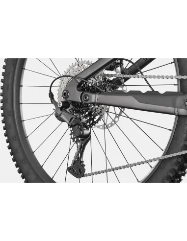 Cannondale Moterra 3