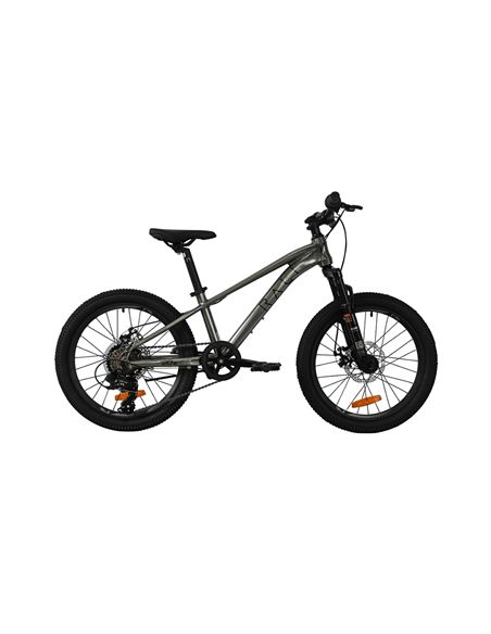 RALI 20PRO 0 NIÑ@ ALUMINIO COLOR PLATA SUSPENSION 1X7V.