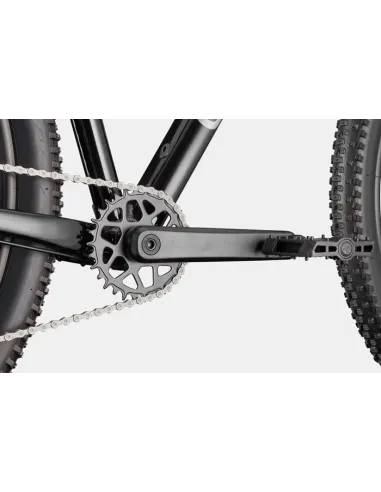 Cannondale trail 2 2026