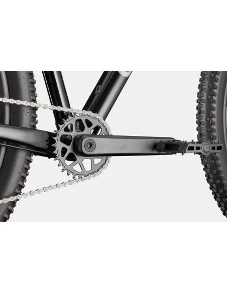 Cannondale trail 2 2026