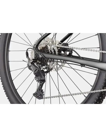 Cannondale trail 2 2026