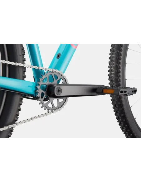 Cannondale trail 2 2026