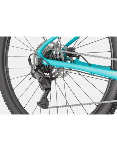 Cannondale trail 2 2026