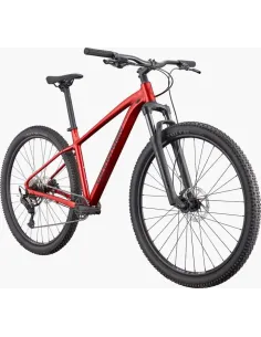 Cannondale trail 2 2026 2