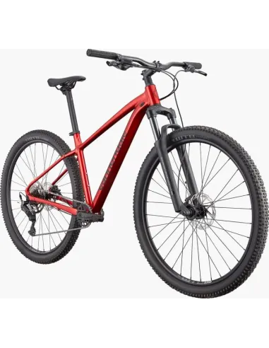 Cannondale trail 2 2026