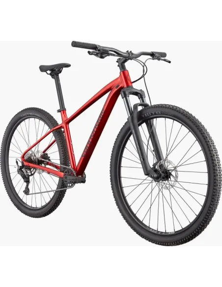 Cannondale trail 2 2026
