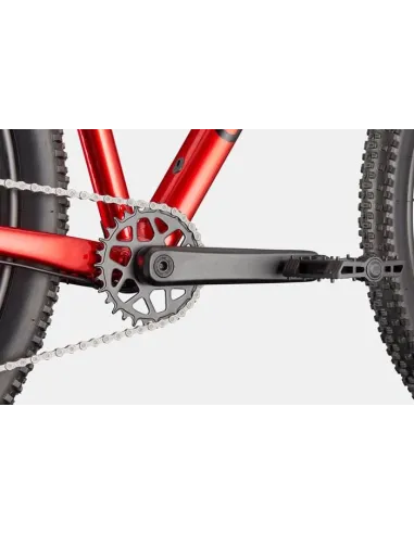 Cannondale trail 2 2026