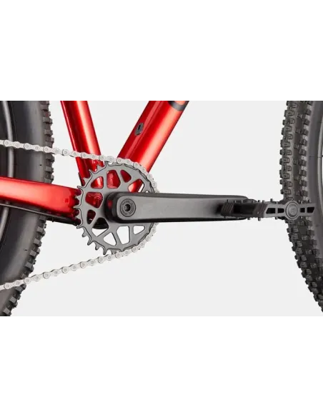 Cannondale trail 2 2026