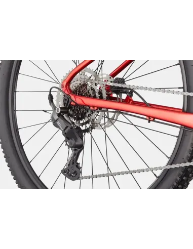 Cannondale trail 2 2026