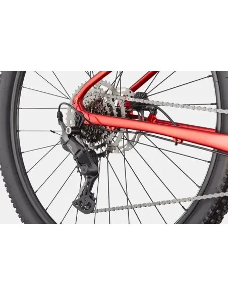 Cannondale trail 2 2026